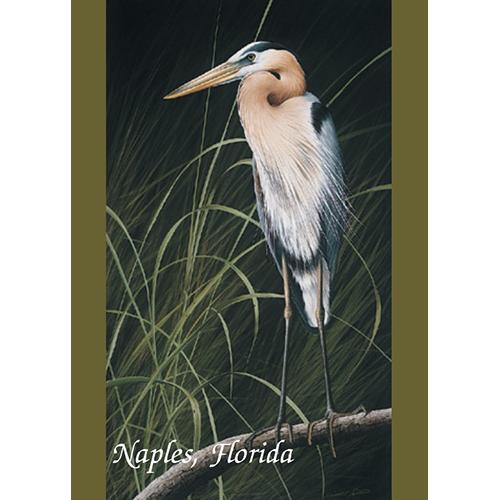 Great Blue Heron