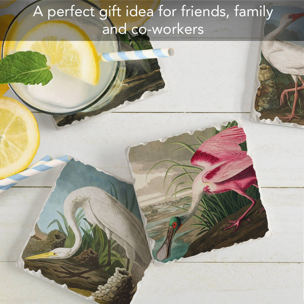 Fine Art "John James Audubon" 4pk Asst. Stone Coasters