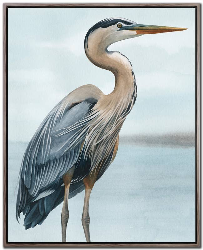 Back Bay Heron I Canvas Wall Art