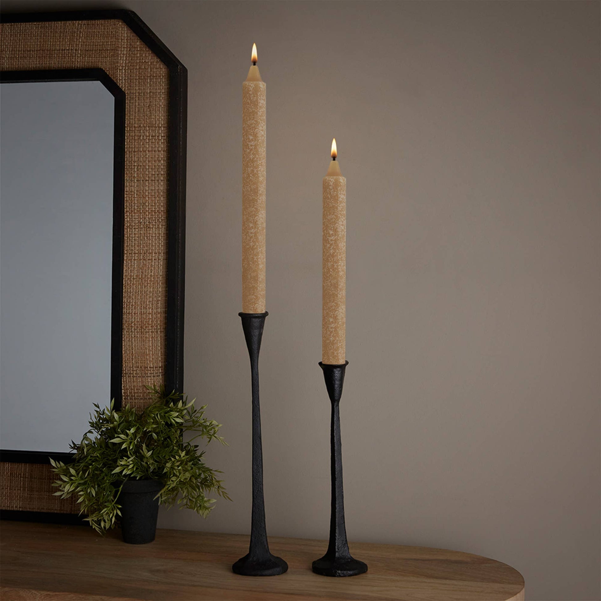 Root Timberline™ Arista® Candles Box Of 12