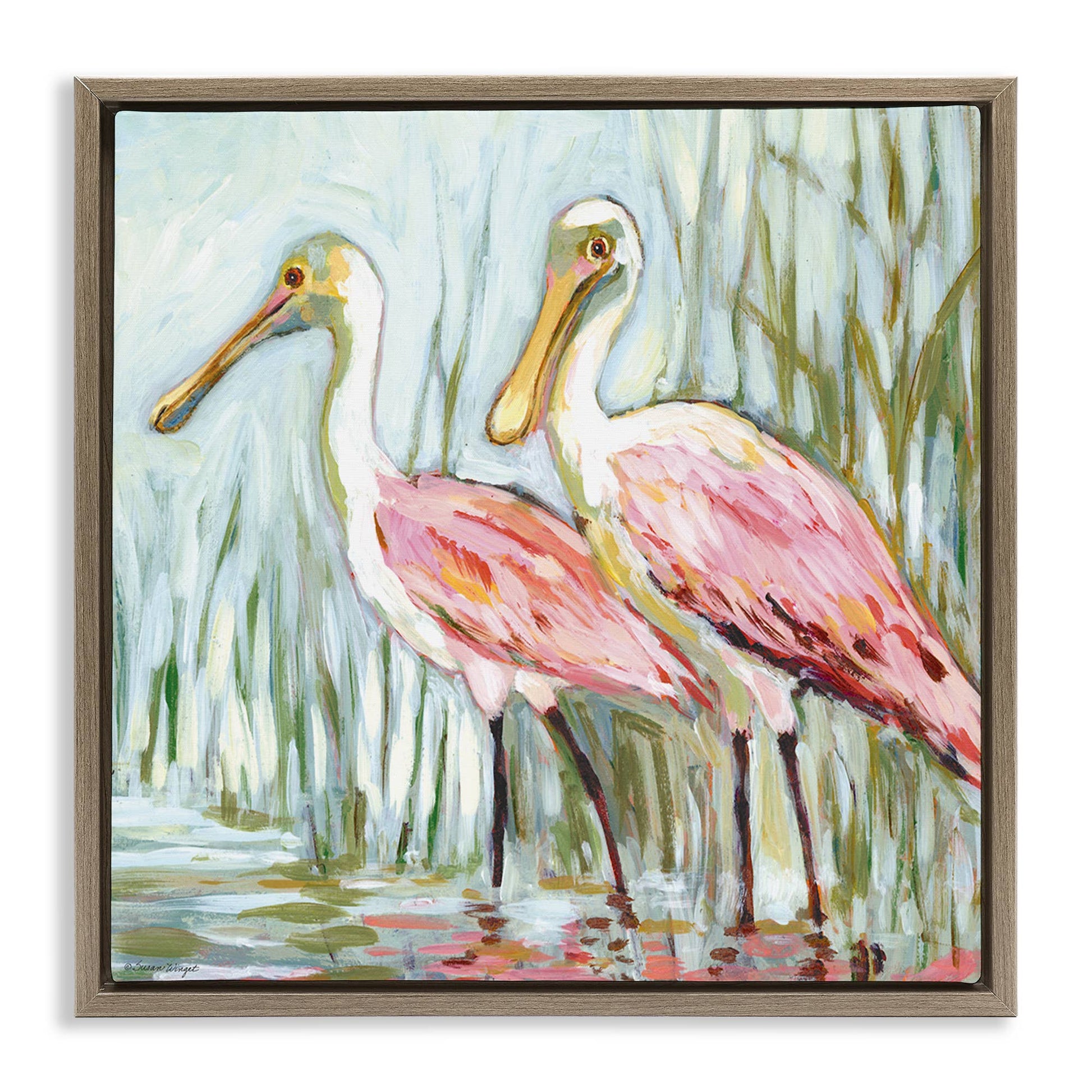 Spoonbill Birds Pair Floating Frame