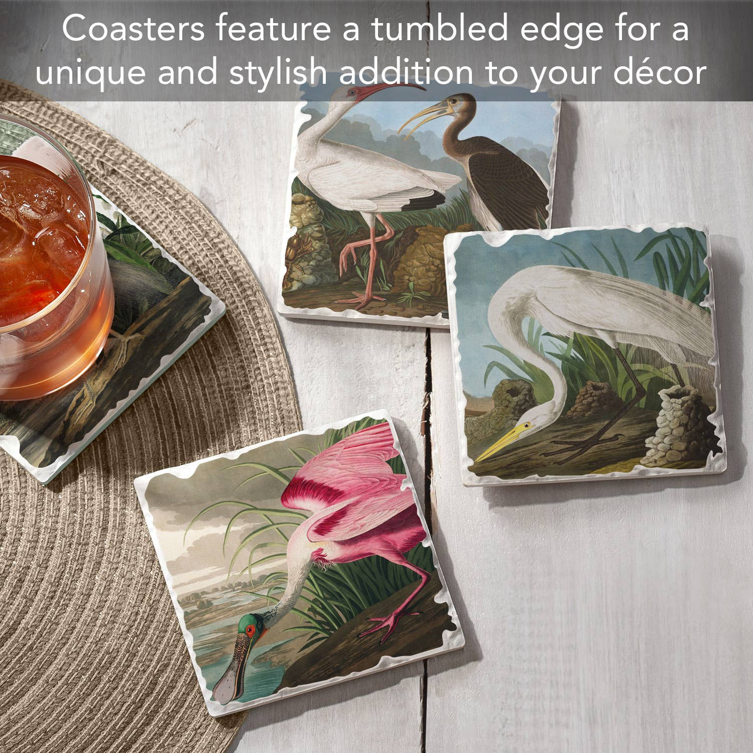 Fine Art "John James Audubon" 4pk Asst. Stone Coasters