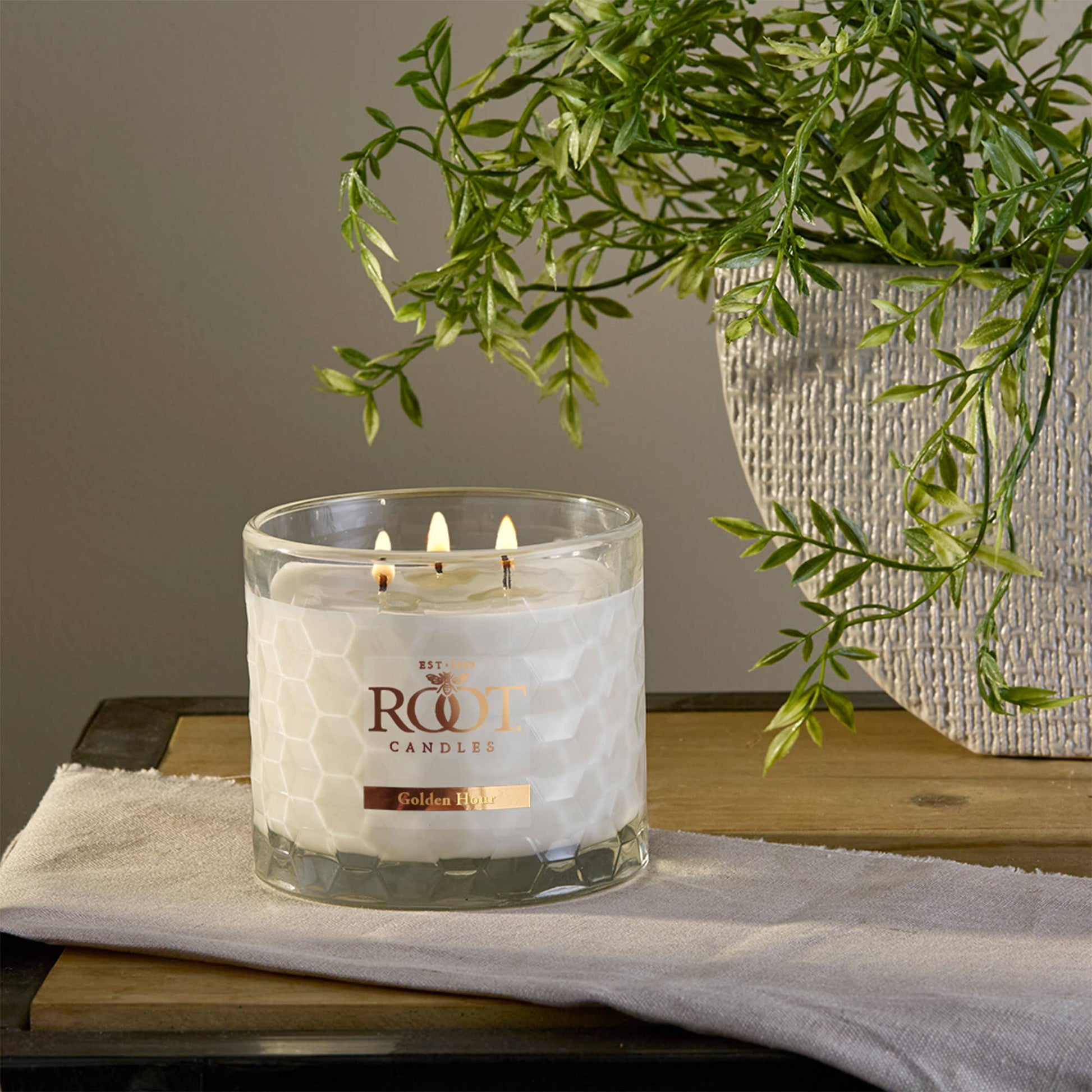Root 12 Oz 3-Wick Honeycomb