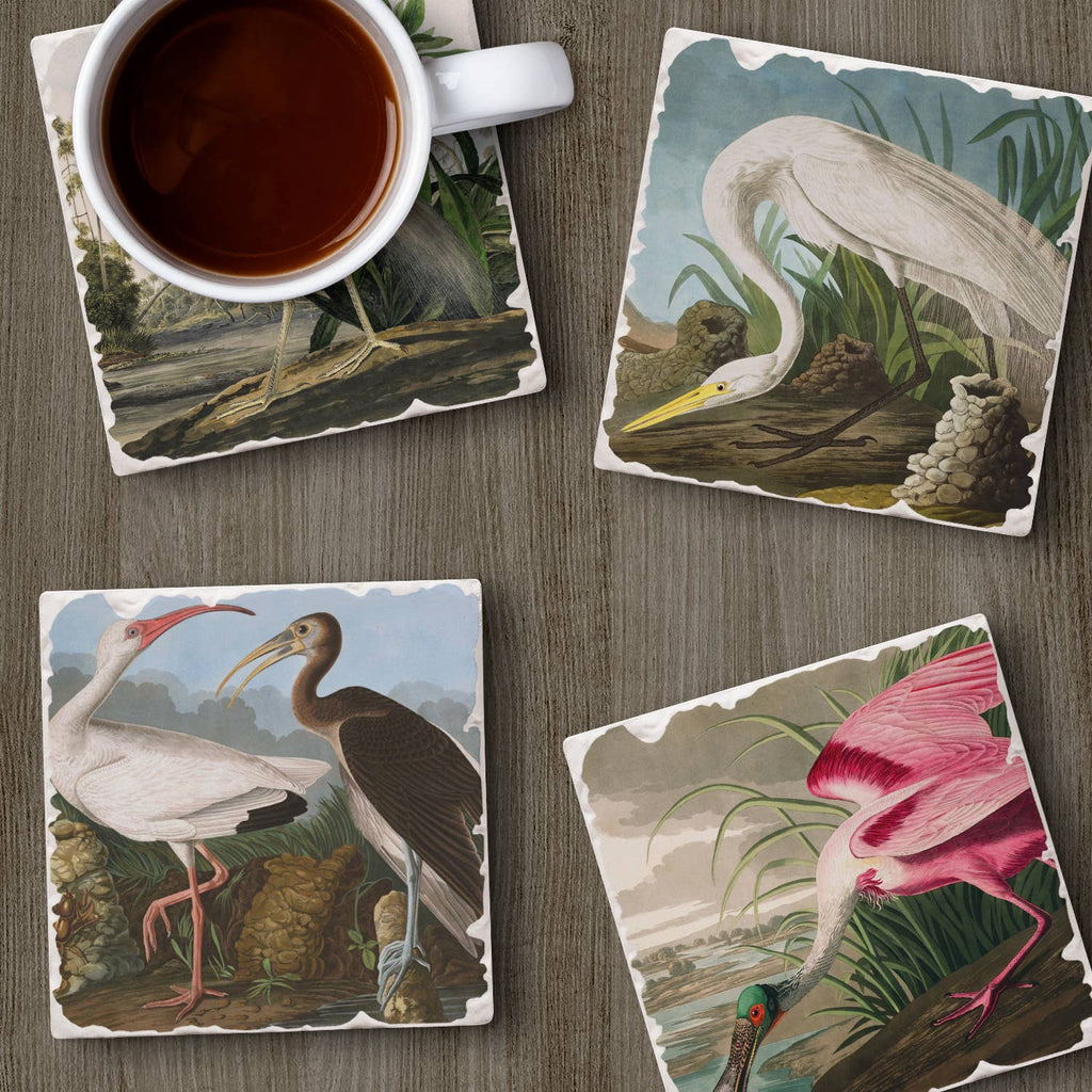 Fine Art "John James Audubon" 4pk Asst. Stone Coasters