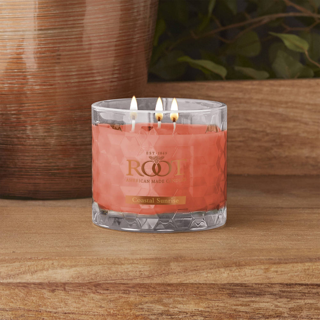 Root 12 Oz 3-Wick Honeycomb
