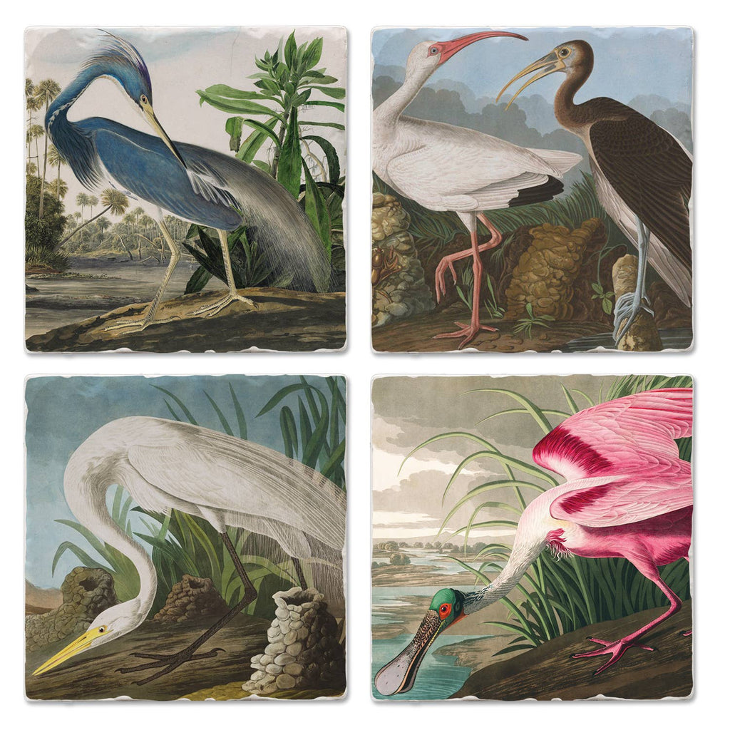 Fine Art "John James Audubon" 4pk Asst. Stone Coasters