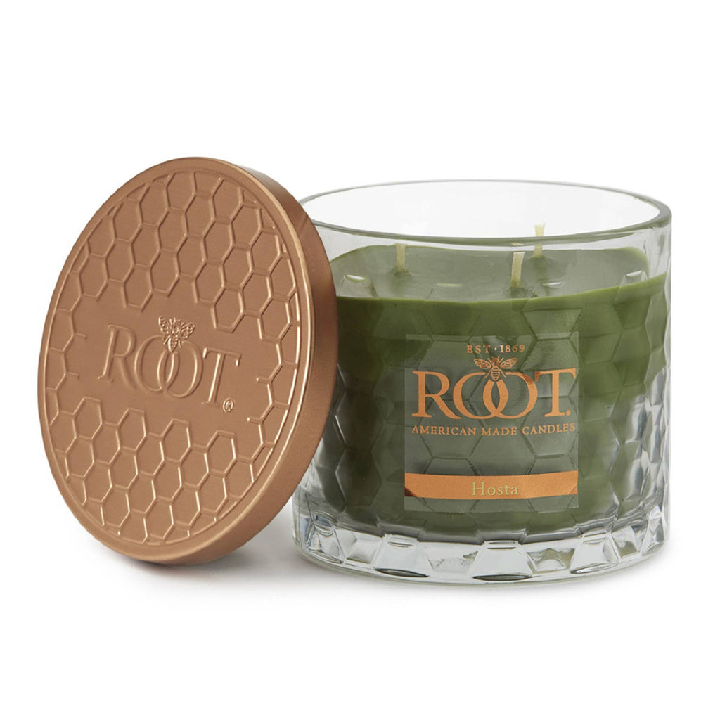 Root 12 Oz 3-Wick Honeycomb