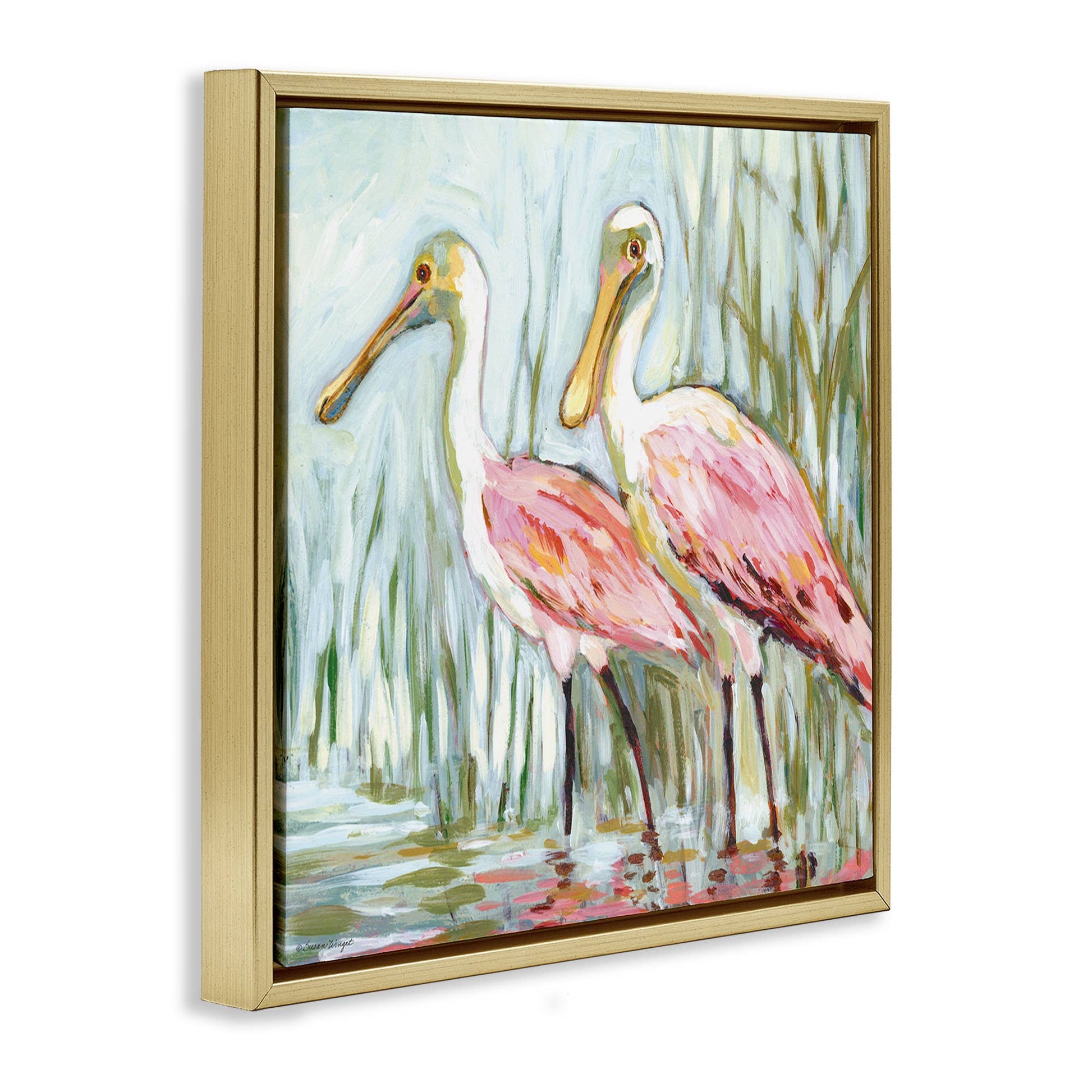 Spoonbill Birds Pair Floating Frame