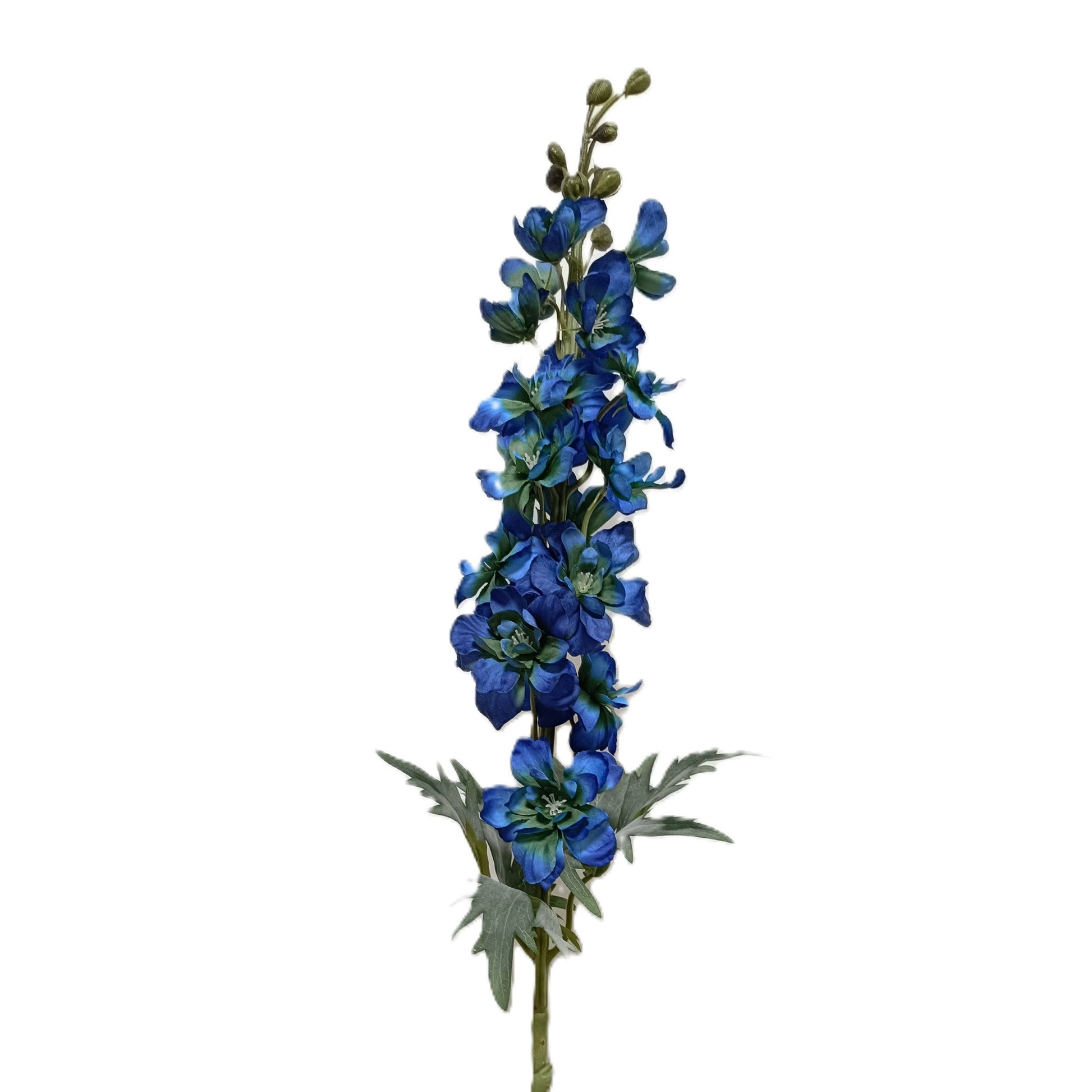 FS157 Delphinium 33" PK 12