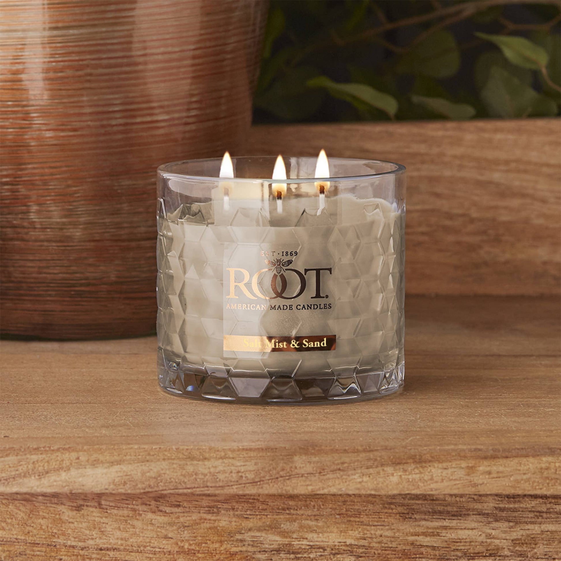 Root 12 Oz 3-Wick Honeycomb