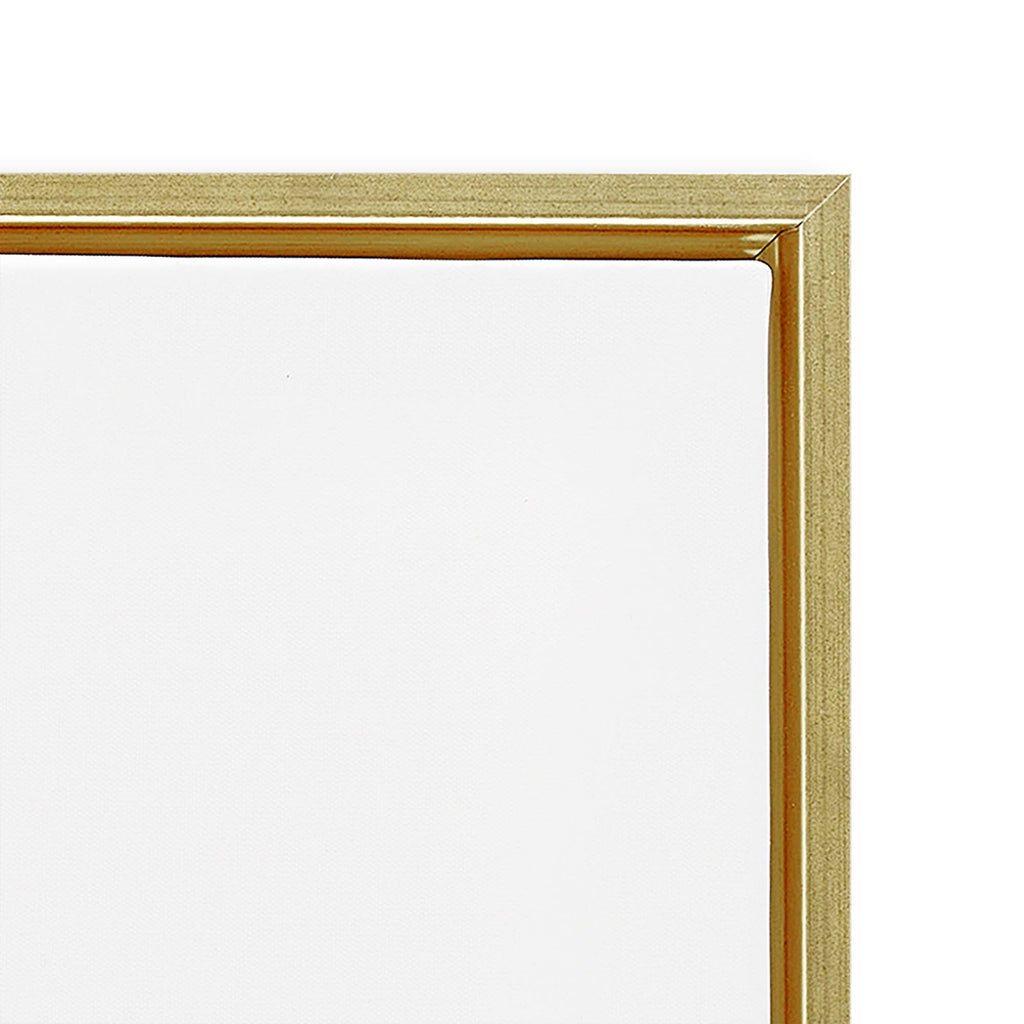 Spoonbill Birds Pair Floating Frame