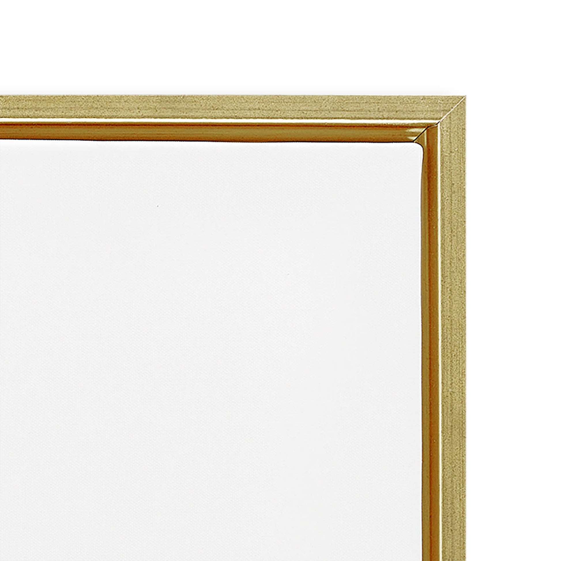Spoonbill Birds Pair Floating Frame