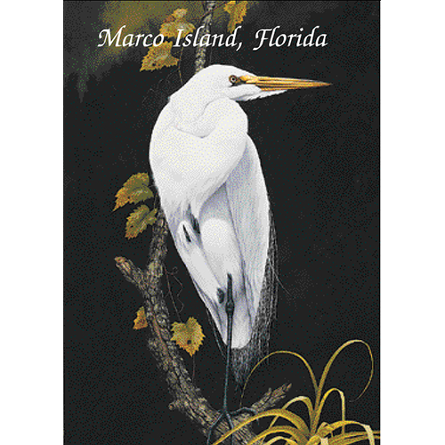 Great Egret