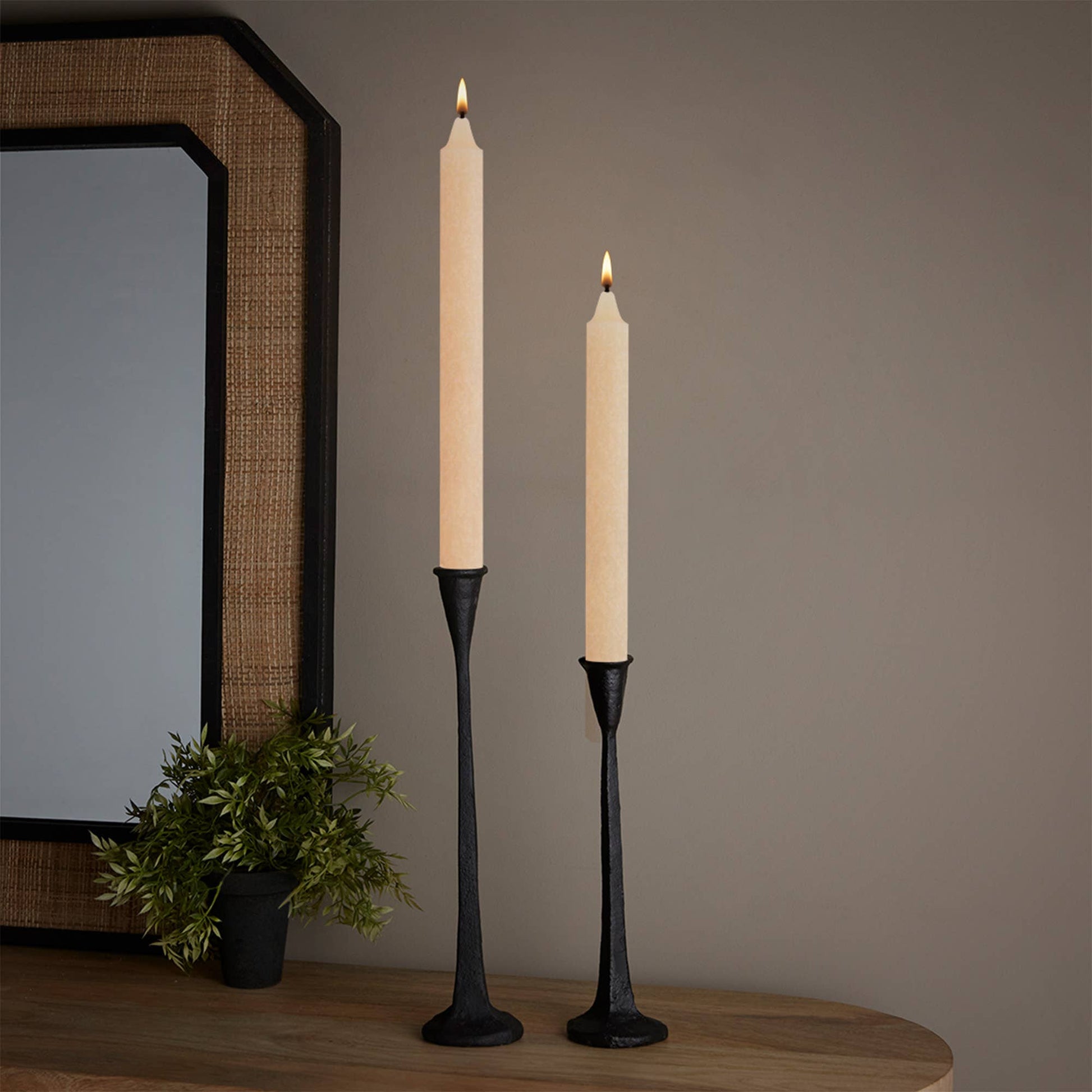 Root Timberline™ Arista® Candles Box Of 12