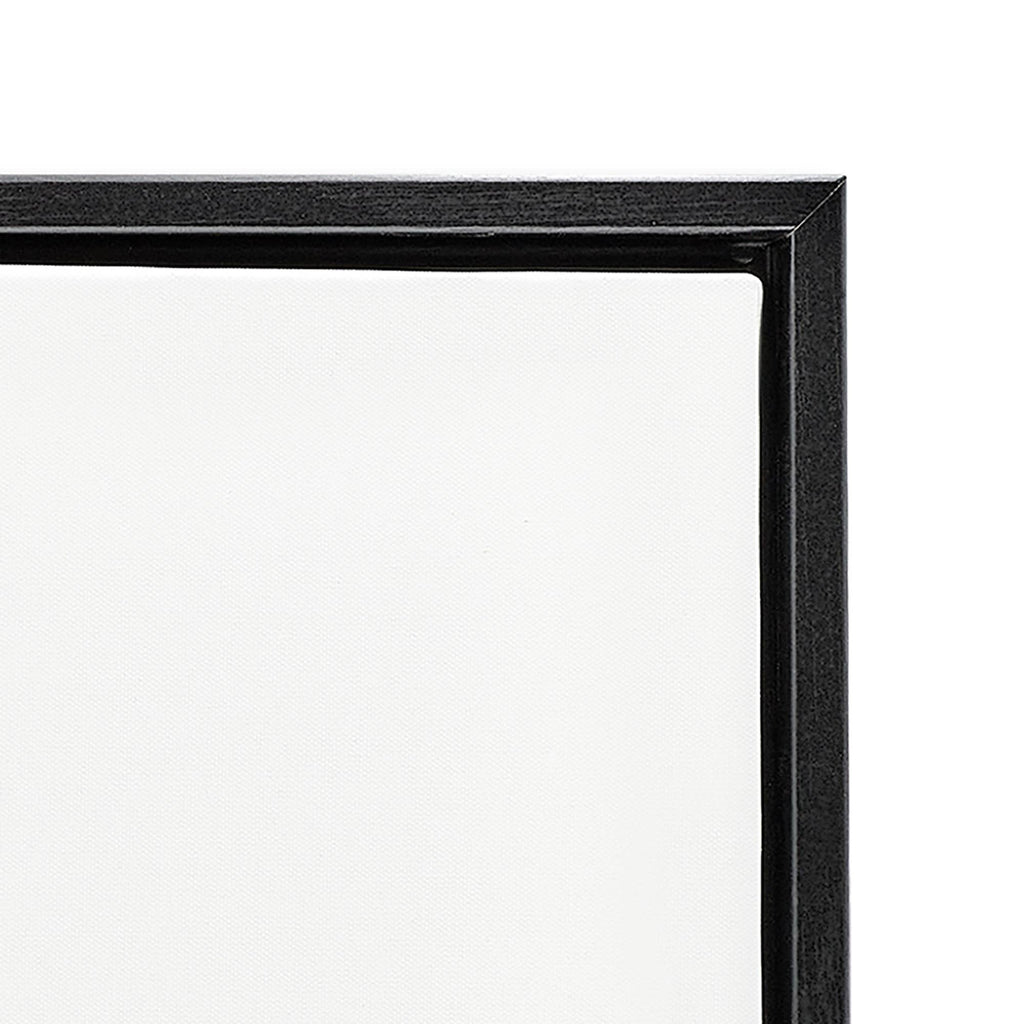 Spoonbill Birds Pair Floating Frame