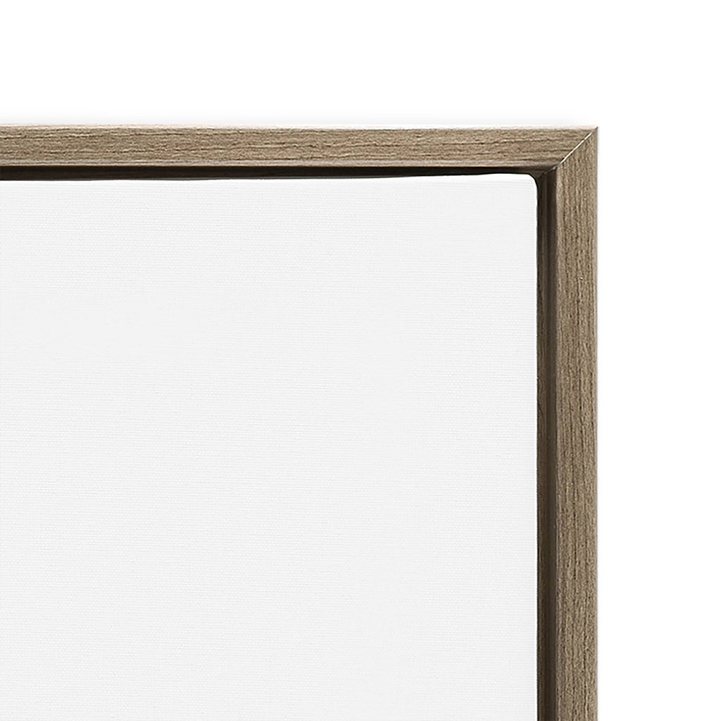 Spoonbill Birds Pair Floating Frame