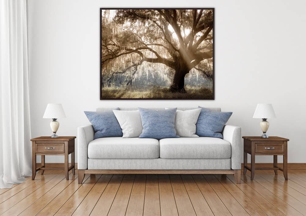 Virginia Oak Canvas Wall Art