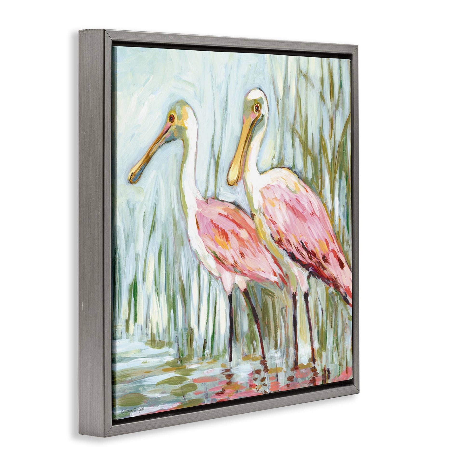 Spoonbill Birds Pair Floating Frame