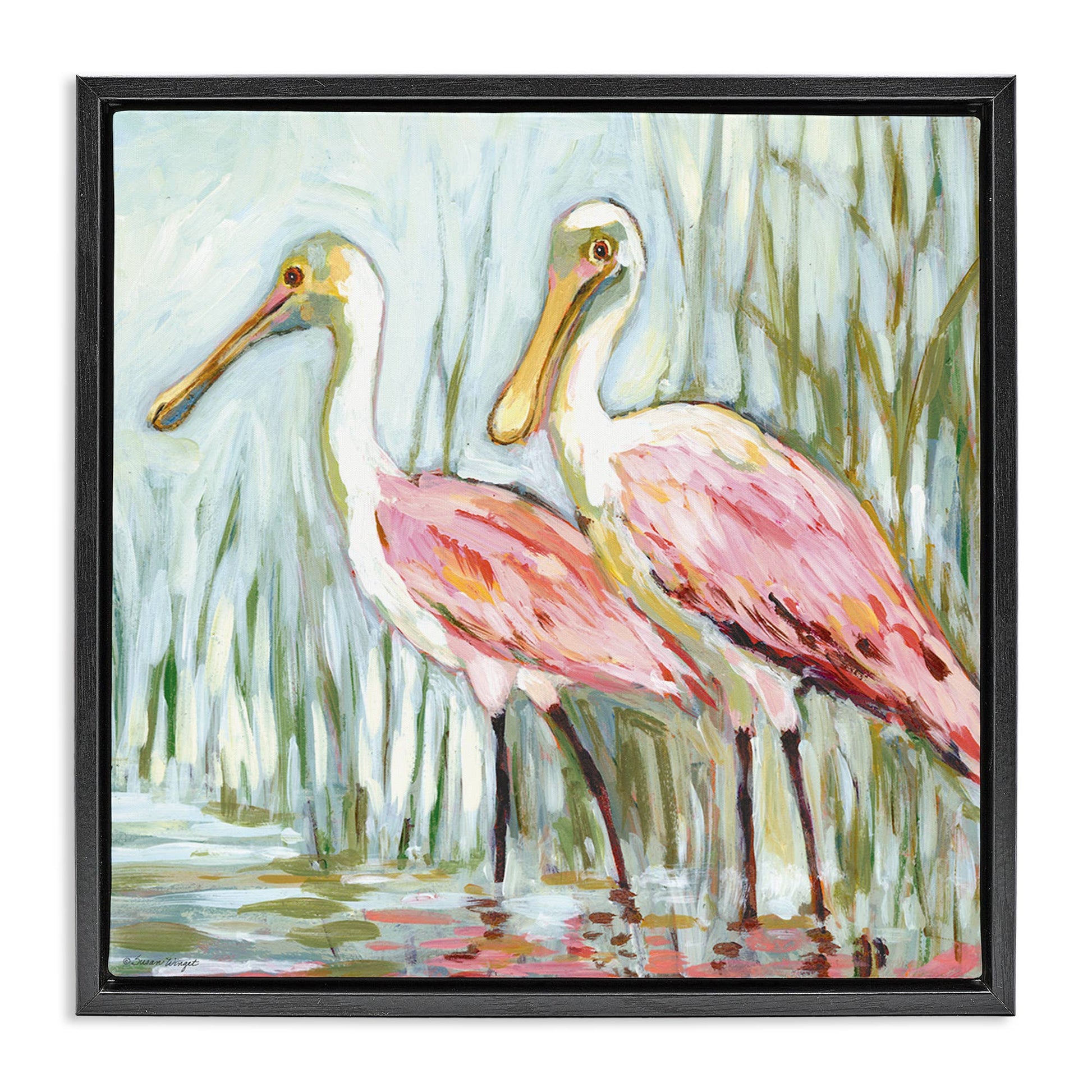Spoonbill Birds Pair Floating Frame