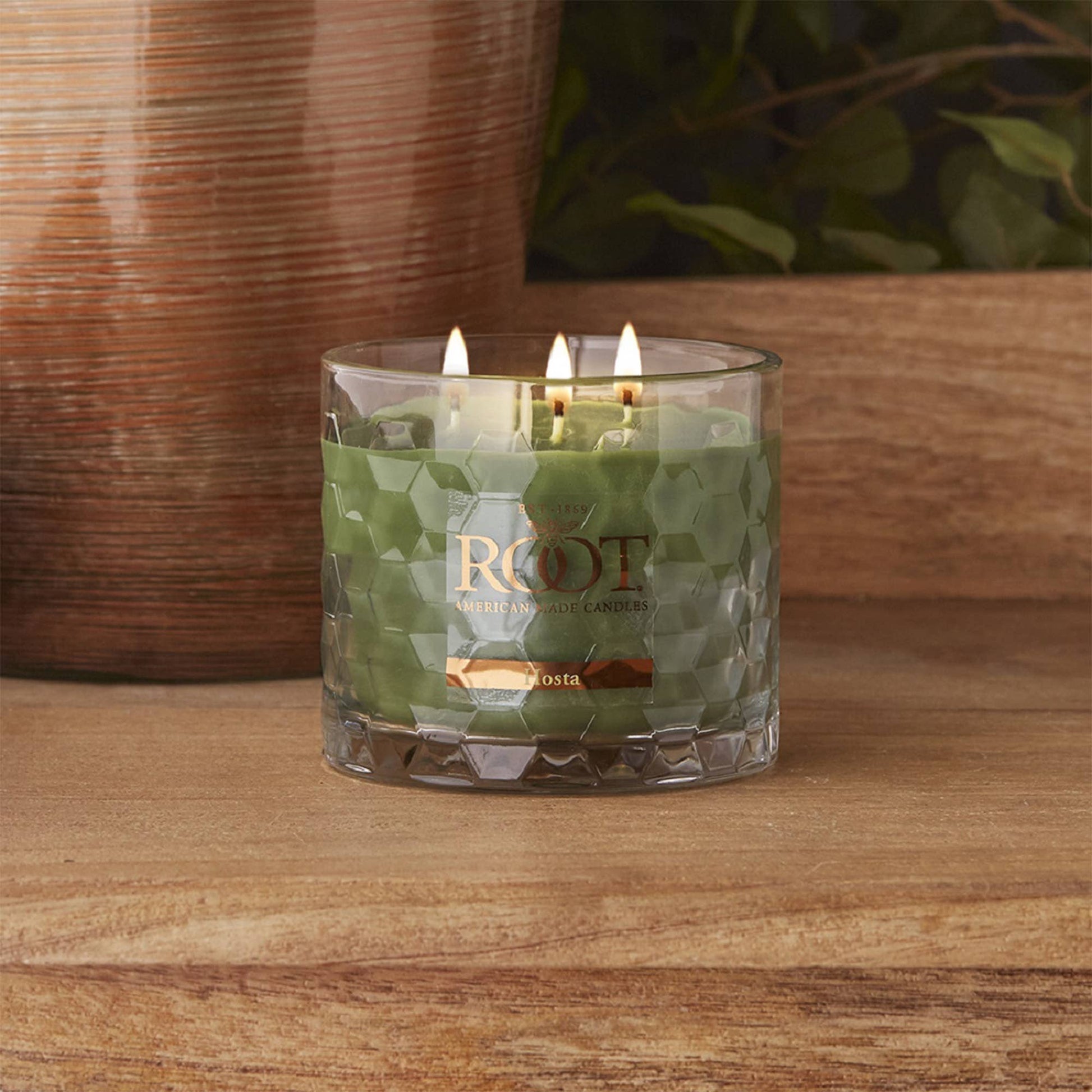 Root 12 Oz 3-Wick Honeycomb