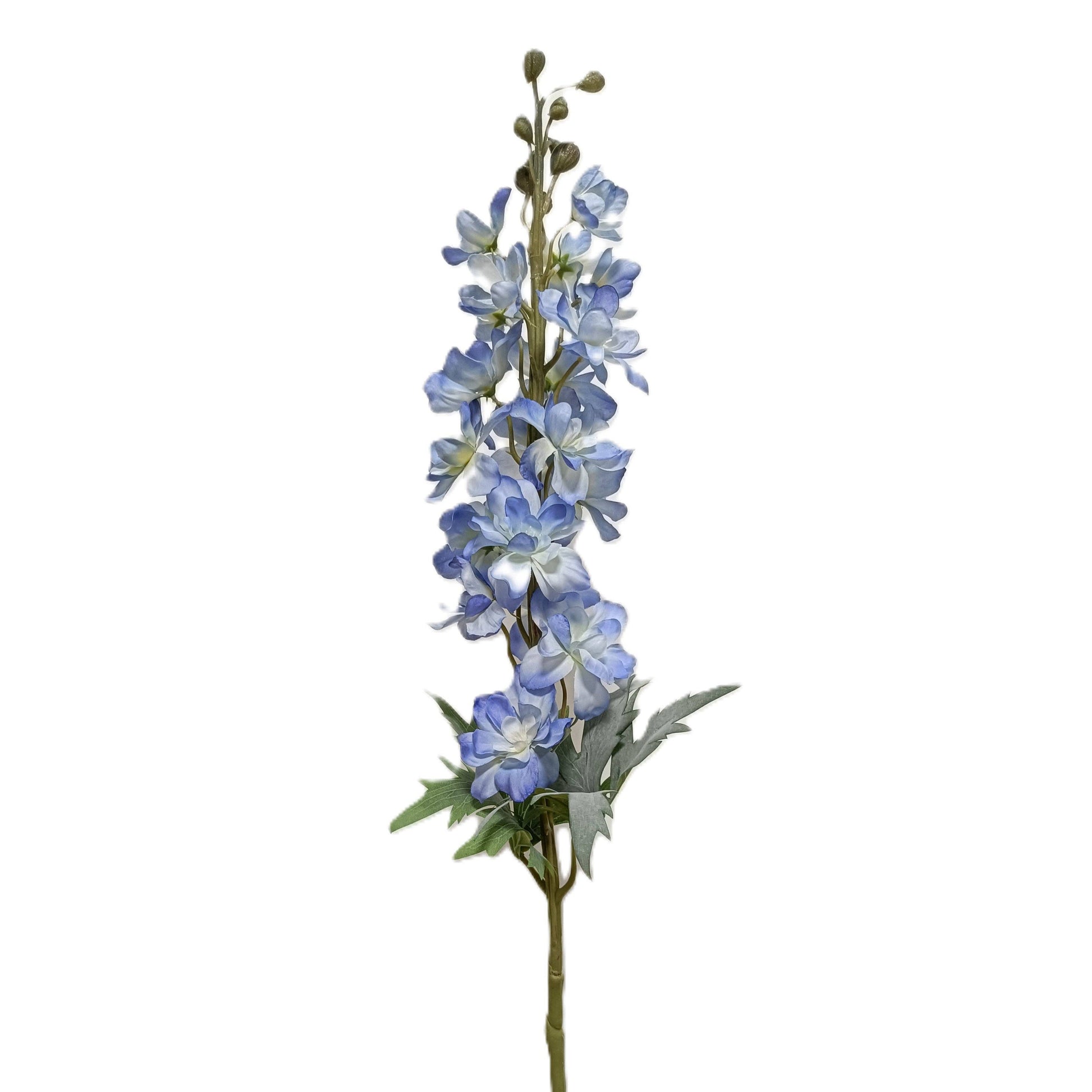 FS157 Delphinium 33" PK 12